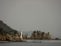 DSCN5955