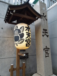 DSCN8229