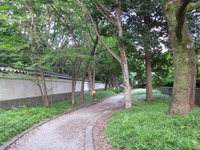 DSCN9338