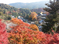 20141124_135343