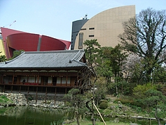 RIMG0263