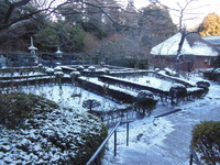 DSCN1945