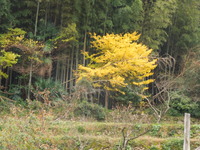 DSCN1230