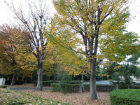 DSCN0890