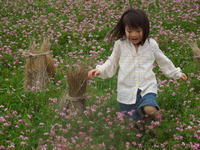 DSCN8883