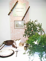 RIMG0101