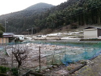20170126_071959