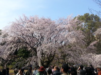 20160329_140340
