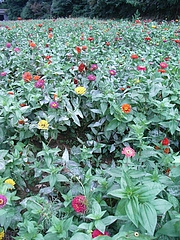 RIMG0453