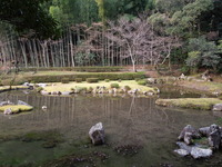 DSCN5867