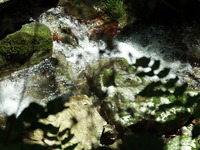 DSCF7446