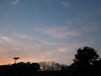 DSCN6062