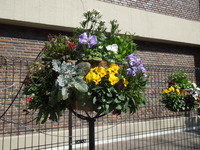 DSCN0175