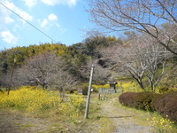 DSCN0867