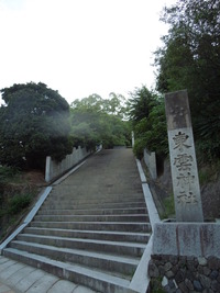 DSCN8477