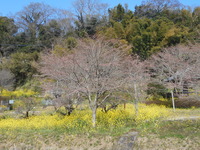 DSCN0869