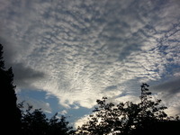 20140827_175107