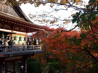 20141124_154105