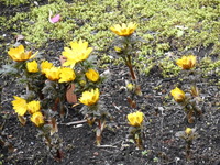 DSCN0562