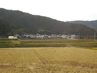 DSCN0155