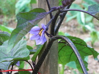 RIMG0243