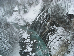 RIMG0111