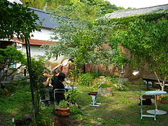 IMGP3037