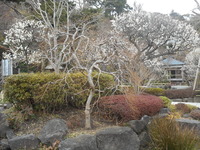 DSCN0505
