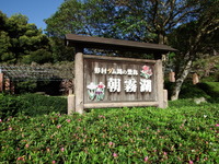 DSCF7097