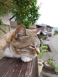 DSCN0075