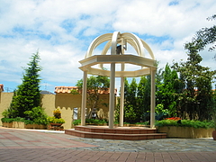 IMGP3451