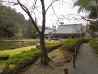 DSCN5858