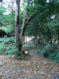 RIMG0286