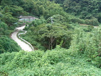 RIMG0563