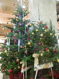 DSCN1528