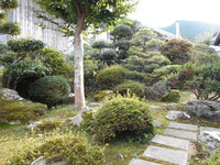 DSCN0150