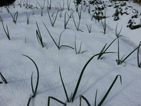 20170210_100822