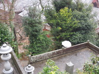 DSCN5597