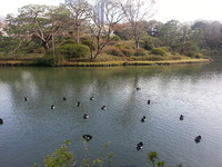 20160329_154835
