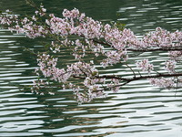 DSCF1378