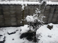 20170123_083238
