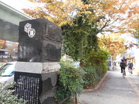 DSCN9975