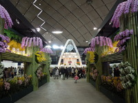 DSCN4658