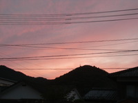 RIMG0362