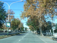RIMG2166