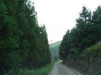 RIMG0942