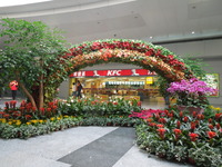 DSCN6599