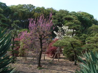 RIMG0046