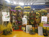 DSCN0418