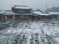 DSCN9899